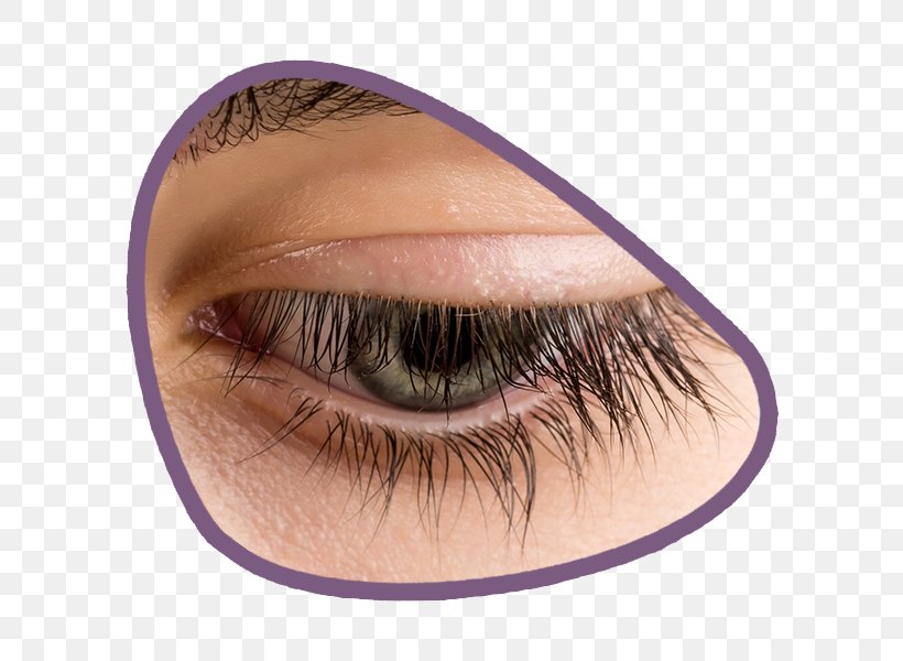 Eyebrow Eyelash Eye Shadow Hair, PNG, 600x600px, Eyebrow, Artificial Hair Integrations, Body Hair, Close Up, Cosmetics Download Free