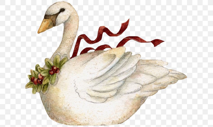 Goose Duck Bird Mute Swan Clip Art, PNG, 631x488px, Goose, Anatidae, Beak, Bird, Black Swan Download Free