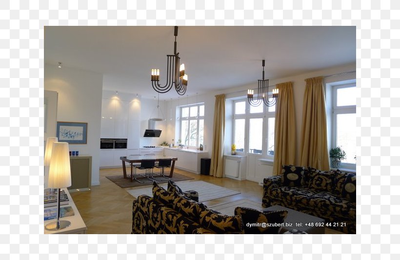 Window Floor Living Room Light, PNG, 800x533px, Window, Apartment, Ceiling, Estate, Floor Download Free