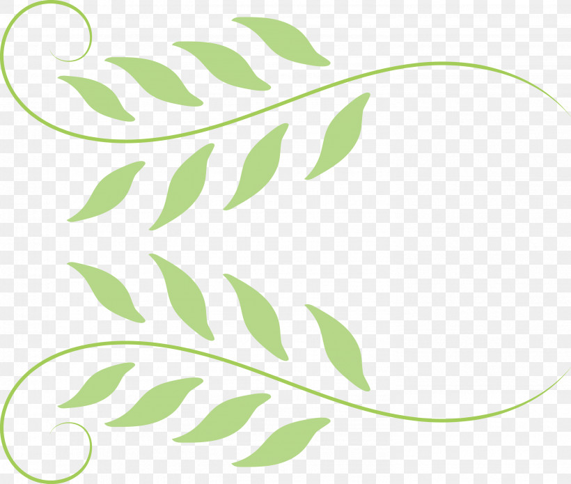 Leaf Plant Stem Logo M-tree Line, PNG, 2961x2512px, Leaf, Area, Biology, Line, Logo Download Free