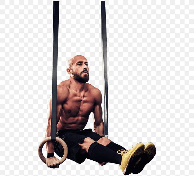 MARX HALLE Exercise Equipment Physical Fitness Calisthenics Street Workout, PNG, 507x745px, Watercolor, Cartoon, Flower, Frame, Heart Download Free