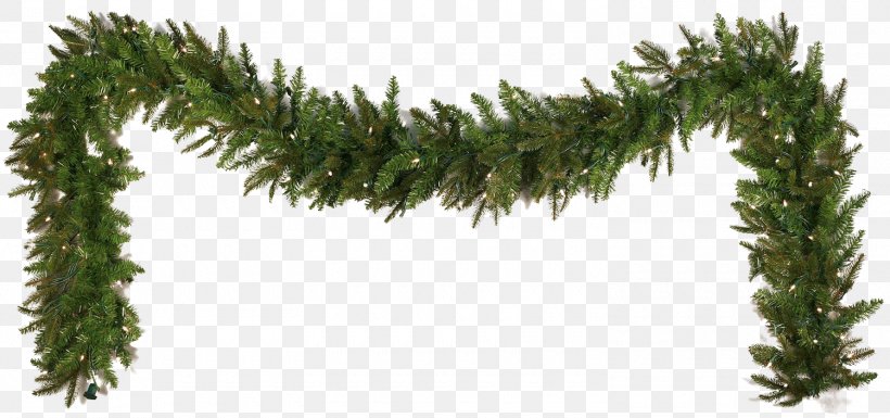 Garland Christmas Decoration Wreath Pre-lit Tree, PNG, 1500x706px, Fraser Fir, Biome, Branch, Christmas, Christmas Decoration Download Free