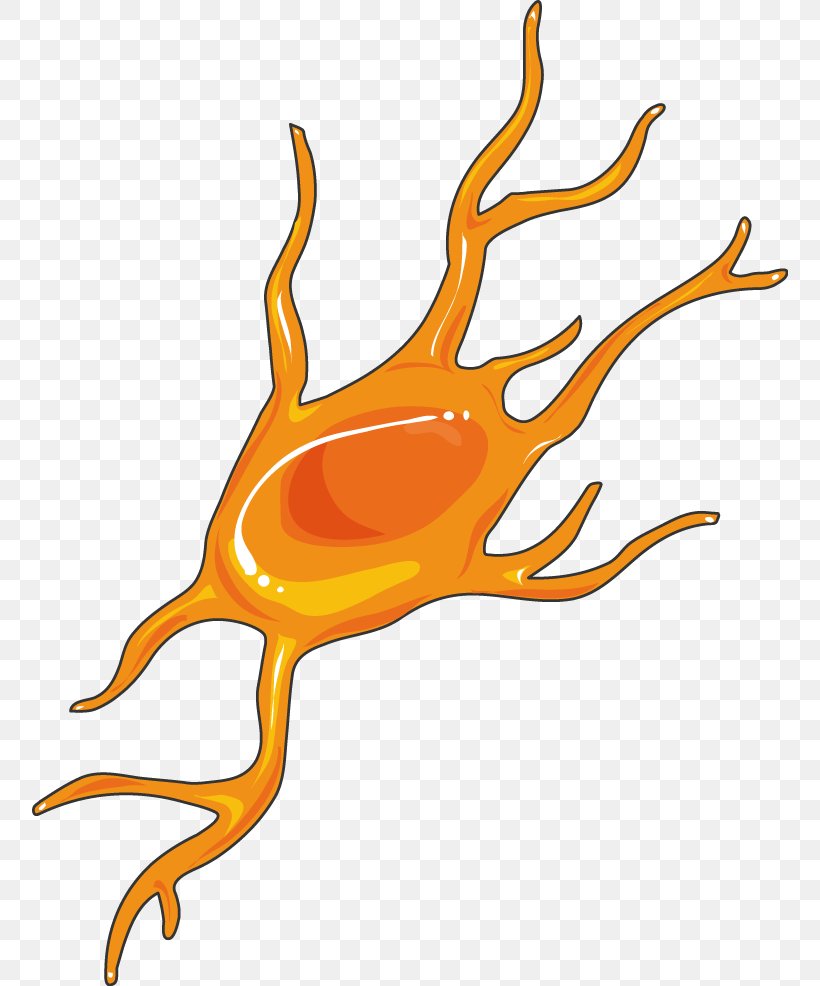 Nervous System Servier Medical Clip Art Medicine Microglia, PNG, 756x986px, Nervous System, Artwork, Brain, Human Body, Line Art Download Free