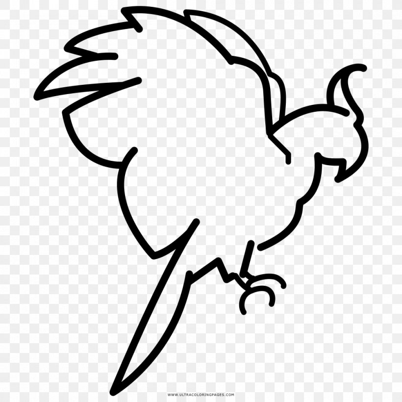 Parrot Coloring Book Black And White Drawing, PNG, 1000x1000px, Parrot, Art, Artwork, Beak, Bird Download Free