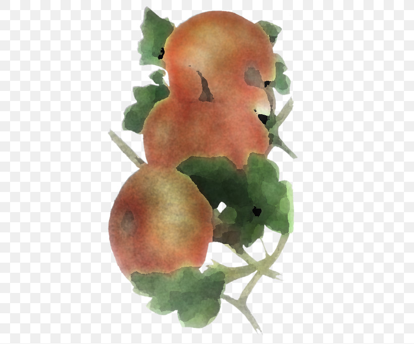 Plant Watercolor Paint Flower Vegetarian Food Fruit, PNG, 400x681px, Plant, Flower, Food, Fruit, Vegetarian Food Download Free