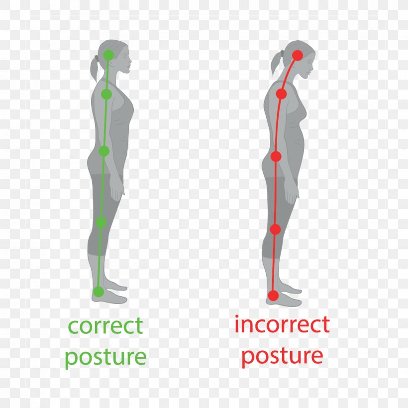 Poor Posture Neutral Spine Vertebral Column Sitting, PNG, 1134x1134px, Poor Posture, Arm, Chiropractic, Diagram, Elbow Download Free