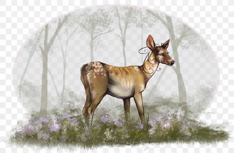Reindeer Cattle Springbok Horn Animal, PNG, 900x591px, Reindeer, Animal, Antelope, Antler, Cattle Download Free