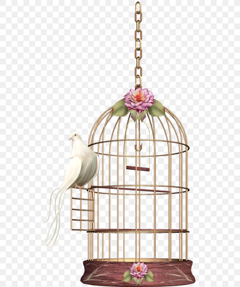 Birdcage Cockatiel, PNG, 529x981px, Bird, Birdcage, Cage, Ceiling Fixture, Cockatiel Download Free
