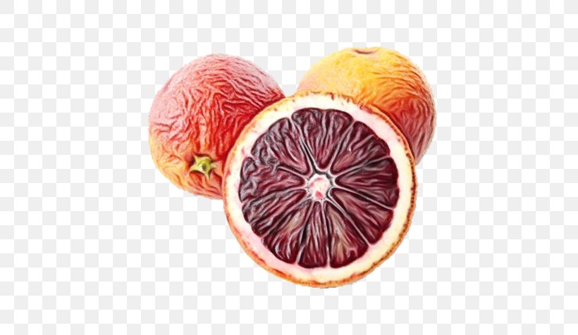 Fruit Cartoon, PNG, 600x476px, Blood Orange, Citrus, Food, Fruit, Grapefruit Download Free