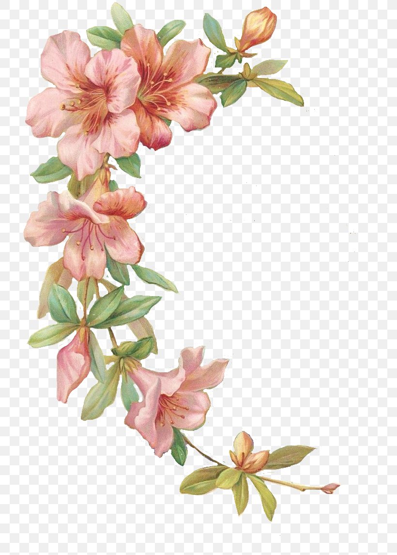 Hibiscus Clip Art, PNG, 736x1145px, Hibiscus, Artificial Flower, Azalea, Blossom, Branch Download Free