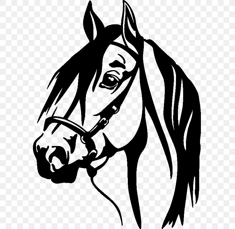 Horse Wall Decal Window Sticker, PNG, 800x800px, Horse, Art, Black, Black And White, Bridle Download Free