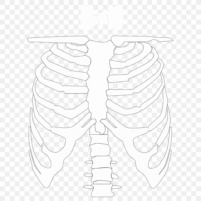 Finger Bone Skeleton Human Leg Muscle, PNG, 960x960px, Watercolor, Cartoon, Flower, Frame, Heart Download Free