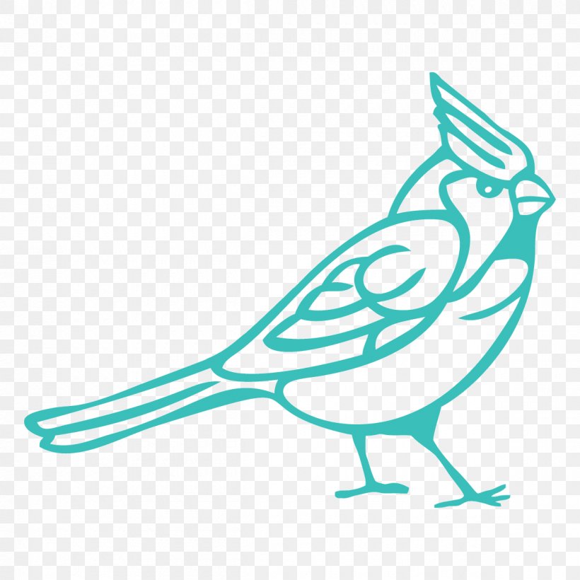 Bird Clip Art Northern Cardinal, PNG, 1200x1200px, Bird, Art, Beak, Branch, Cardinal Download Free
