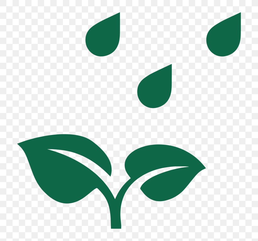 Plant Rain, PNG, 768x768px, Plant, Drop, Grass, Green, Leaf Download Free