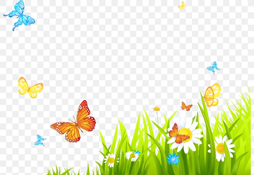 Desktop Wallpaper Easter Drawing, PNG, 800x567px, Easter, Brush Footed Butterfly, Butterfly, Drawing, Flora Download Free