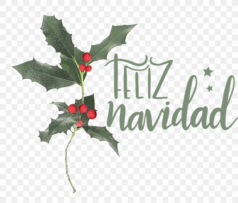 Holly, PNG, 3000x2568px, Feliz Navidad, Aquifoliaceae, Aquifoliales, Flora, Flower Download Free