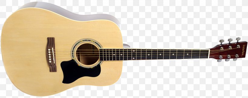 Twelve-string Guitar Takamine Guitars Dreadnought Acoustic Guitar Acoustic-electric Guitar, PNG, 1500x598px, Watercolor, Cartoon, Flower, Frame, Heart Download Free