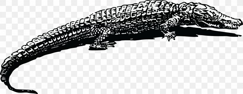 Crocodile Alligator Animal Drawing Clip Art, PNG, 4000x1553px, Crocodile, Alligator, American Crocodile, Animal, Animal Figure Download Free