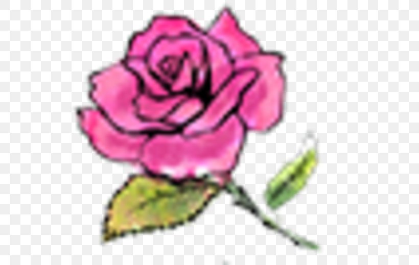 Garden Roses Ever After High Mattel Doll La Plus Rebelle De Toutes, PNG, 550x519px, Garden Roses, Art, Cabbage Rose, Cut Flowers, Doll Download Free