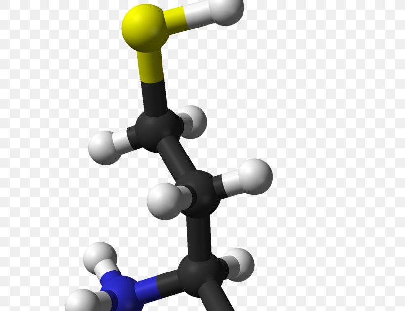 Homocysteine Food Health Nutrition Molecule, PNG, 657x630px, Homocysteine, Arteriosclerosis, Ballandstick Model, Catecholomethyltransferase, Diet Download Free