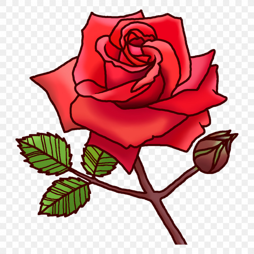 Garden Roses, PNG, 1400x1400px, Garden Roses, Biology, Cabbage Rose, Cut Flowers, Floral Design Download Free
