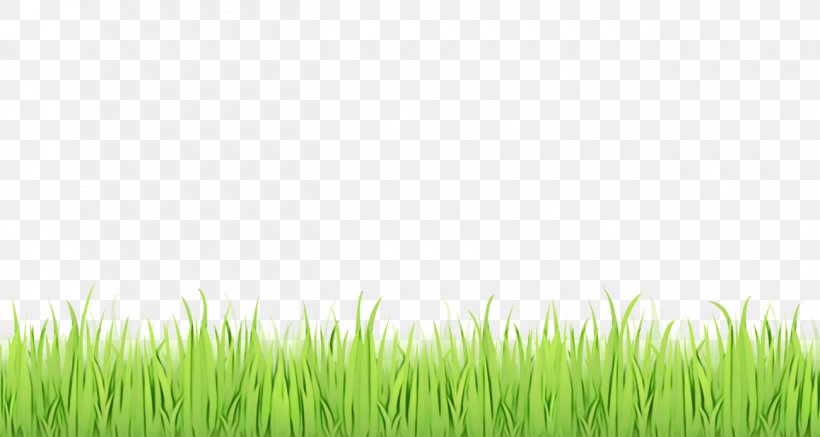 Green Grass Background, PNG, 1300x693px, Lawn, Chrysopogon, Chrysopogon Zizanioides, Cropping, Field Download Free
