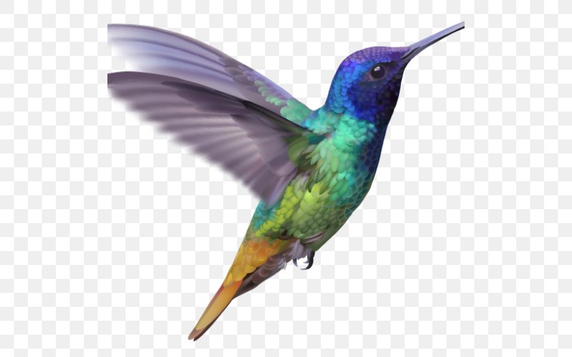 Hummingbird Golden-tailed Sapphire Feather, PNG, 512x512px, Hummingbird, Beak, Bird, Fauna, Feather Download Free