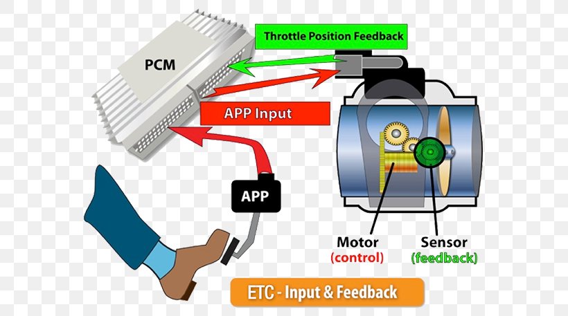 Light Electronic Throttle Control Toyota Actuator, PNG, 600x457px, Light, Actuator, Brand, Communication, Diagram Download Free