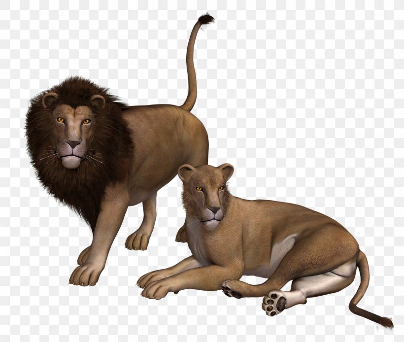 Lion Cheetah Tiger, PNG, 1280x1084px, Lion, Animal, Big Cats, Carnivoran, Cat Like Mammal Download Free