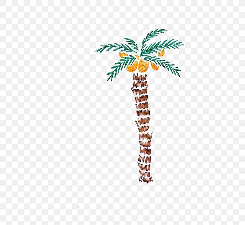 Tree Coconut Illustration, PNG, 564x752px, Tree, Arecaceae, Branch, Cartoon, Coconut Download Free