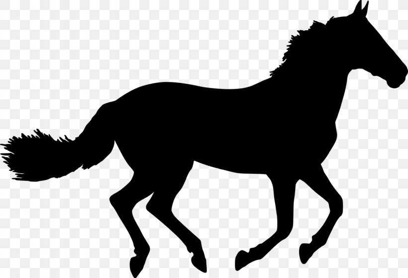 Vector Graphics Clip Art Mustang Silhouette Horse Racing, PNG, 1280x875px, Mustang, Animal Figure, Black, Blackandwhite, Collection Download Free