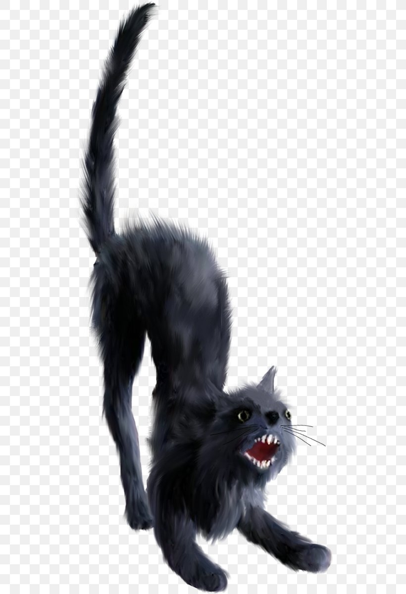 Black Cat Clip Art, PNG, 529x1200px, Black Cat, Carnivoran, Cat, Cat Like Mammal, Fur Download Free