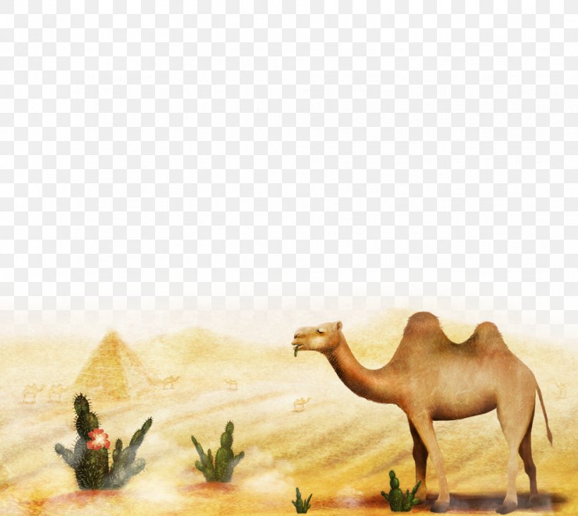 Camel Cartoon Illustration, PNG, 983x878px, Camel, Animation, Arabian Camel, Art, Camel Like Mammal Download Free