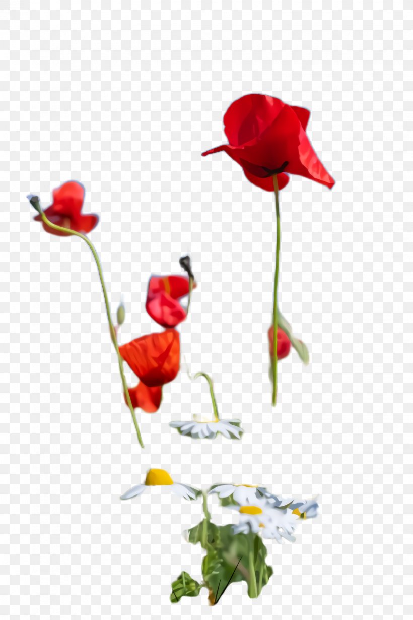 Flowers Background, PNG, 1632x2448px, Poppy Flower, Artificial Flower, Bloom, Blossom, Botany Download Free