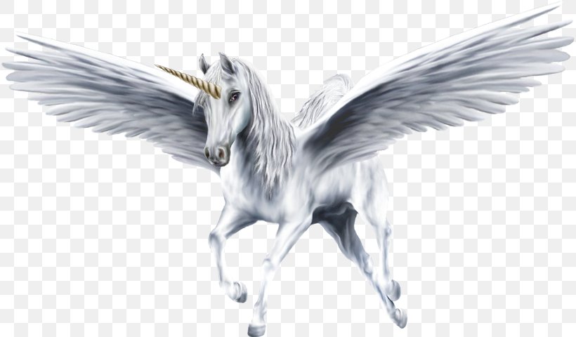 Flying Horses Pegasus Winged Unicorn, PNG, 817x480px, Horse, Beak, Bird, Centaur, Equestrian Download Free