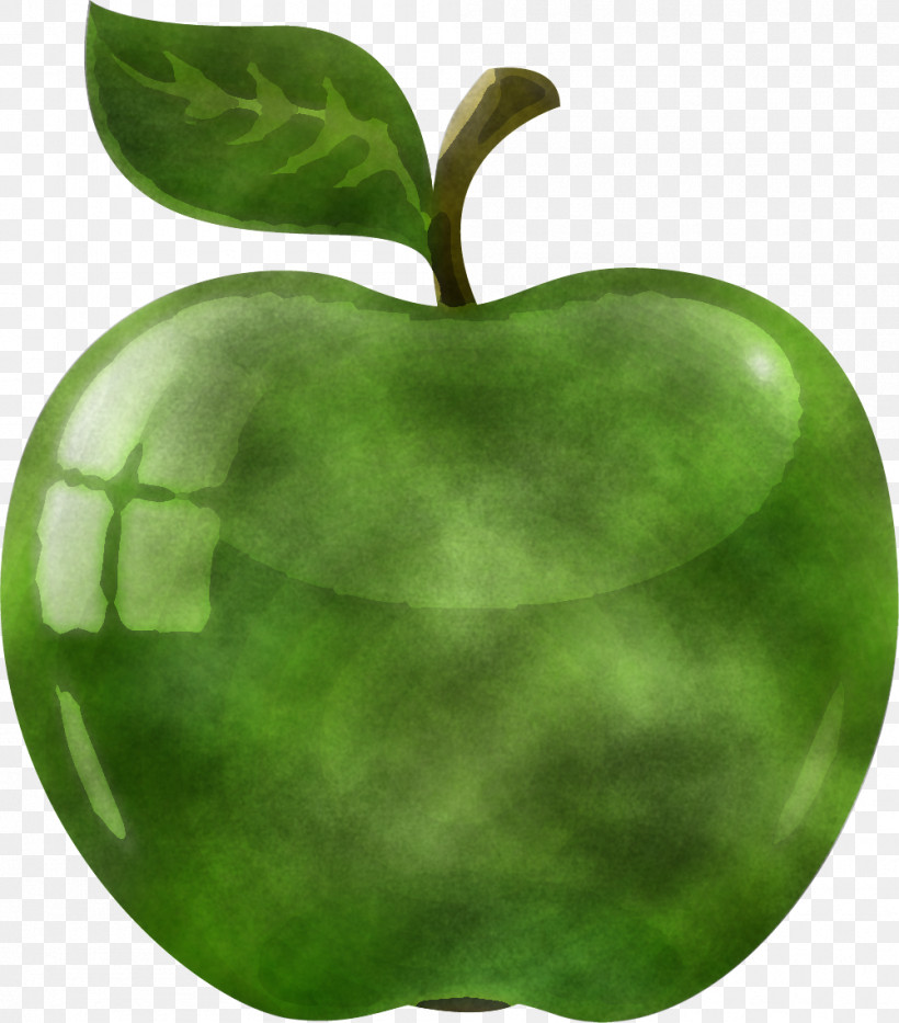 Green Leaf Fruit Apple Plant, PNG, 1001x1139px, Green, Apple, Food, Fruit, Granny Smith Download Free