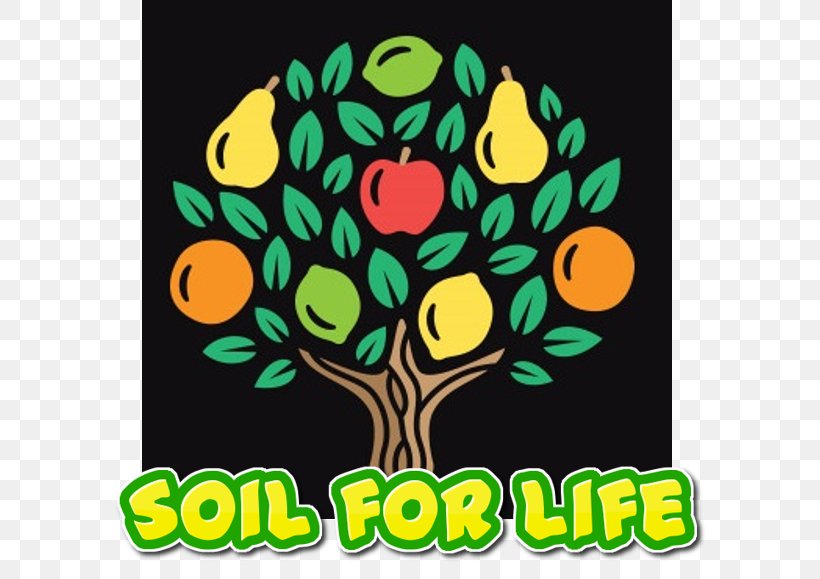 Logo Fruit Tree Idea, PNG, 596x579px, Logo, Arecaceae, Brand, Concept, Flora Download Free
