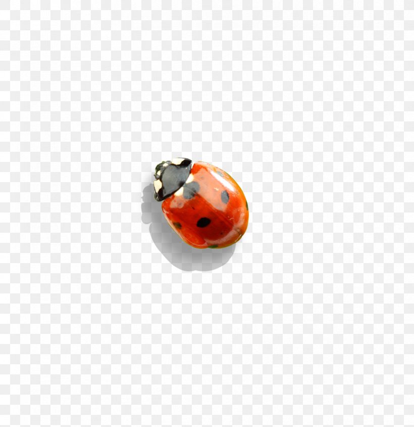 Material Body Piercing Jewellery Human Body Lady Bird, PNG, 863x889px, Material, Beetle, Body Jewelry, Body Piercing Jewellery, Human Body Download Free