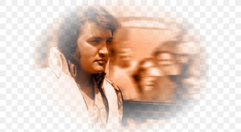 Eyebrow Forehead Elvis Presley Human Behavior Long Hair, PNG, 600x450px, Watercolor, Cartoon, Flower, Frame, Heart Download Free