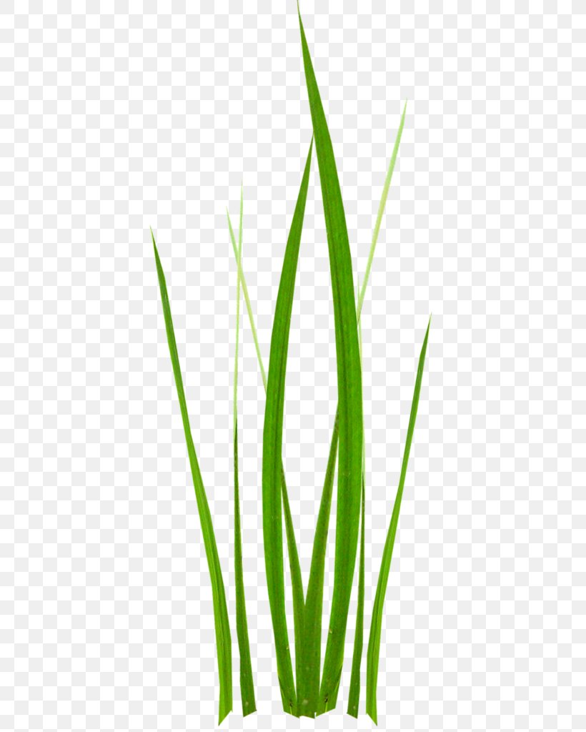 Herbaceous Plant Lawn Plant Stem Clip Art, PNG, 522x1024px, Herbaceous Plant, Aquarium Decor, Calendar, Commodity, Easter Egg Download Free