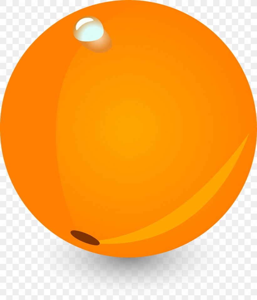 Orange Fruit Water, PNG, 1099x1280px, Orange, Citrus, Drop, Food, Fruit Download Free
