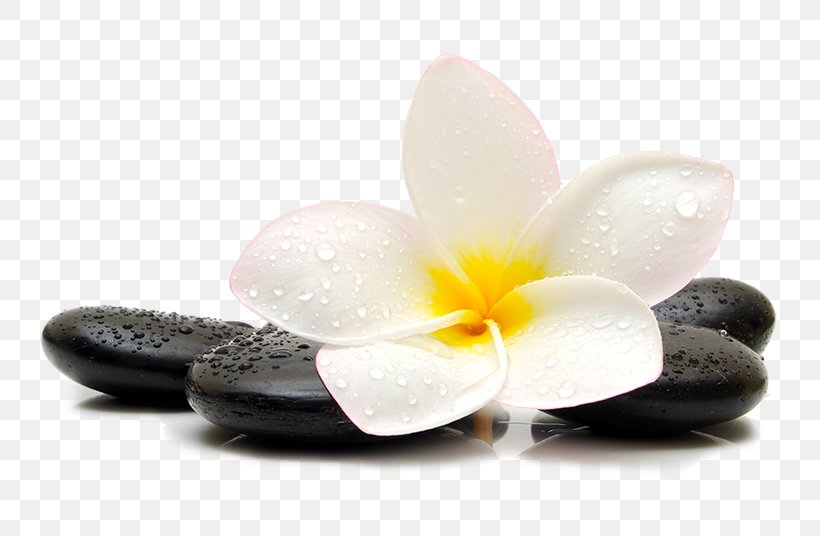 Stone Massage Stellar Fitness Spa Pedicure, PNG, 800x536px, Stone Massage, Bathing, Beauty Parlour, Flower, Manicure Download Free