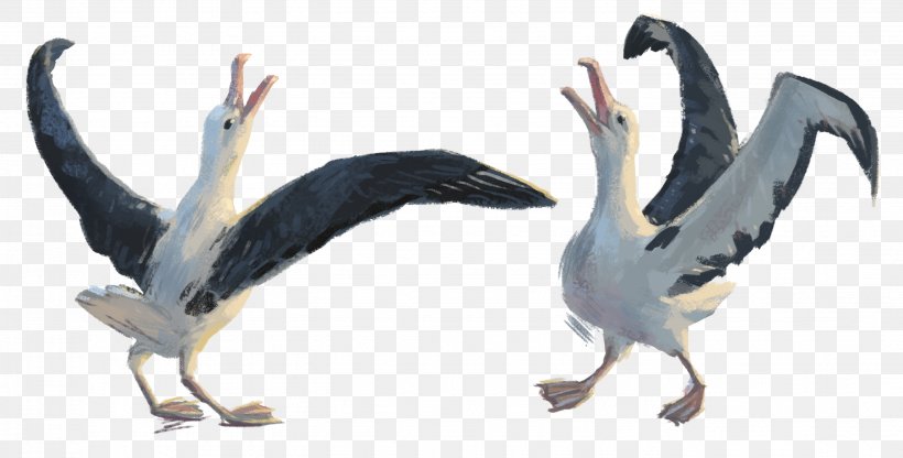 Water Bird Pelican Seabird Goose, PNG, 2757x1400px, Bird, Animal, Animal Figure, Beak, Crane Download Free