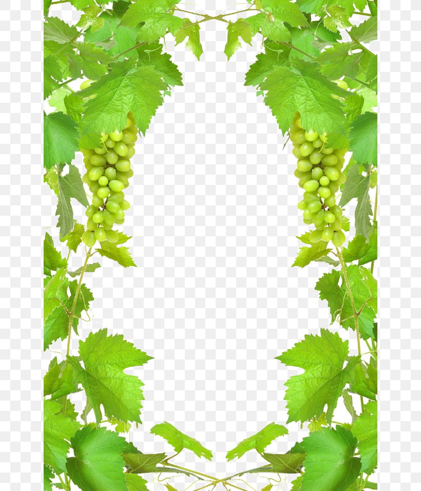 Wine Grape Stock Photography Clip Art, PNG, 650x956px, Wine, Branch, Common Grape Vine, Flowering Plant, Food Download Free