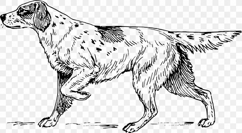 Beagle Hunting Dog Drawing Dog Breed, PNG, 2176x1204px, Beagle, Artwork, Black And White, Carnivoran, Coloring Book Download Free