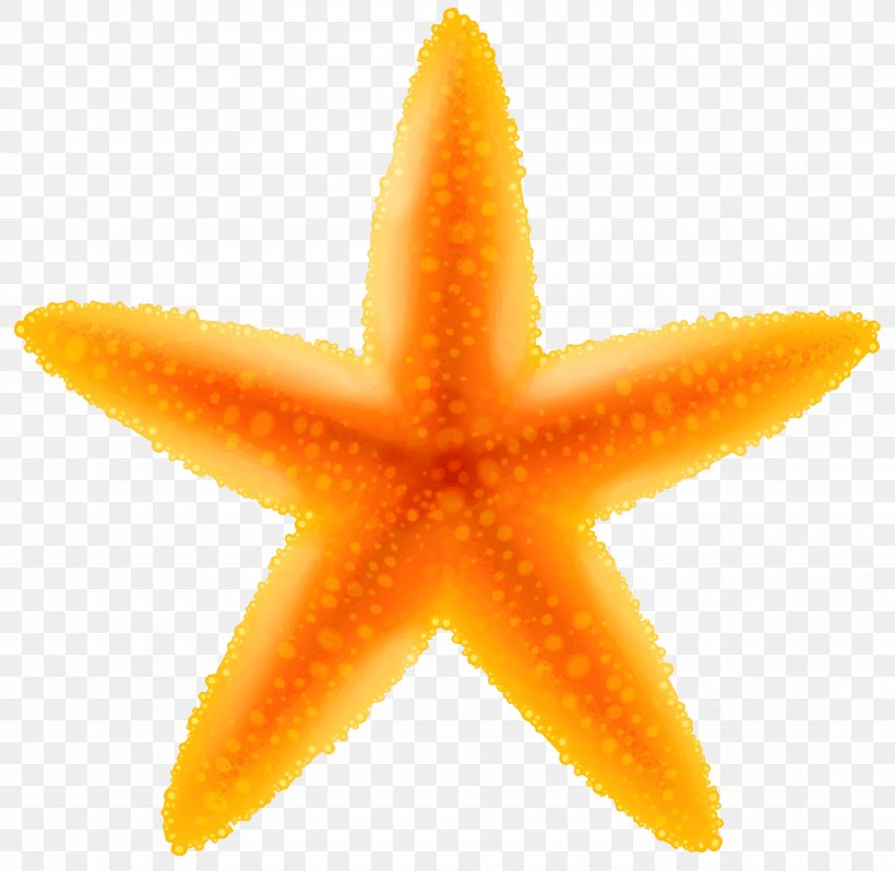 Clip Art, PNG, 8000x7795px, Starfish, Echinoderm, Fruit, Invertebrate, Marine Invertebrates Download Free