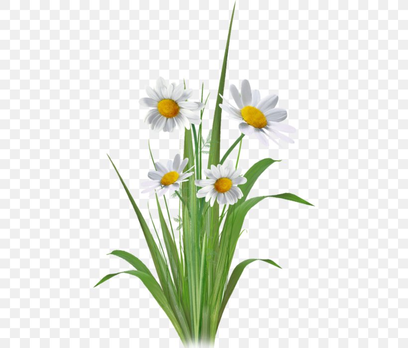 Floral Design Flower Bouquet Clip Art Cut Flowers, PNG, 448x700px, Floral Design, Cut Flowers, Daisy, Daisy Family, Easter Lily Download Free