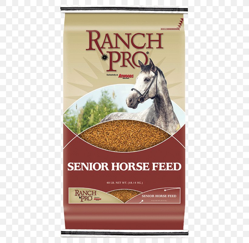 Horse Equine Nutrition Garden Furniture Hay Food, PNG, 800x800px, Horse, Advertising, Banner, Equine Nutrition, Fence Download Free