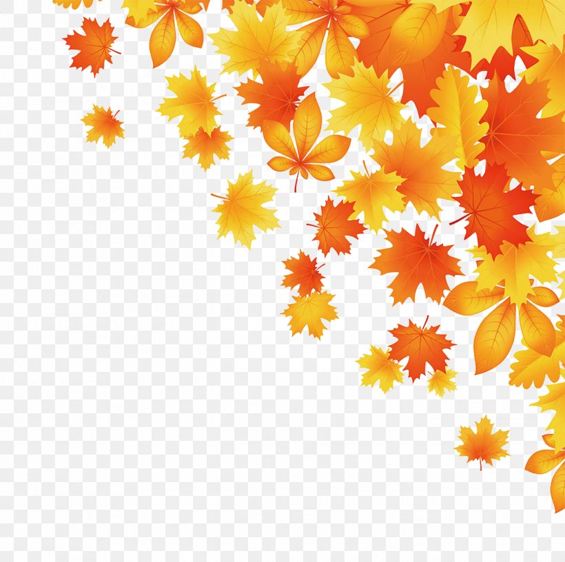 Maple Leaf Autumn Leaves, PNG, 1344x1339px, Maple Leaf, Acer Truncatum, Autumn, Autumn Leaves, Business Download Free