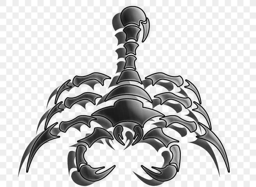 Scorpion Electroshock Weapon Logo Firearm Volt, PNG, 800x600px, Scorpion, Black And White, Castelli, Electricity, Electroshock Weapon Download Free